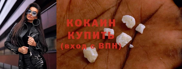 гидра Богородицк