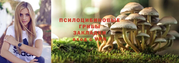 ALPHA PVP Богородск