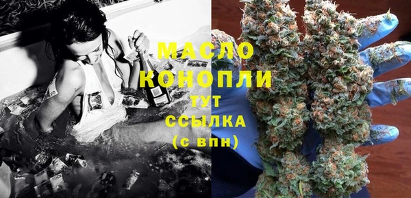 гидра Богородицк