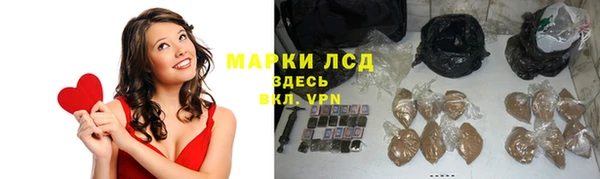 гидра Богородицк