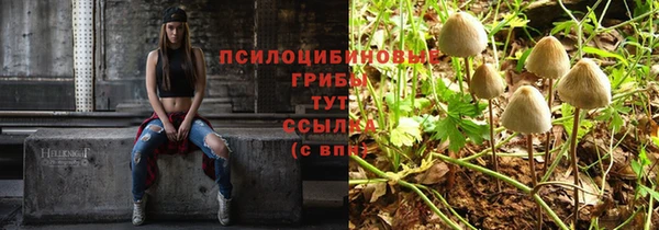 гидра Богородицк