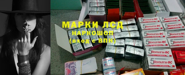 гидра Богородицк