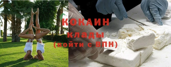гидра Богородицк